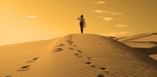 Voyage à travers le désert